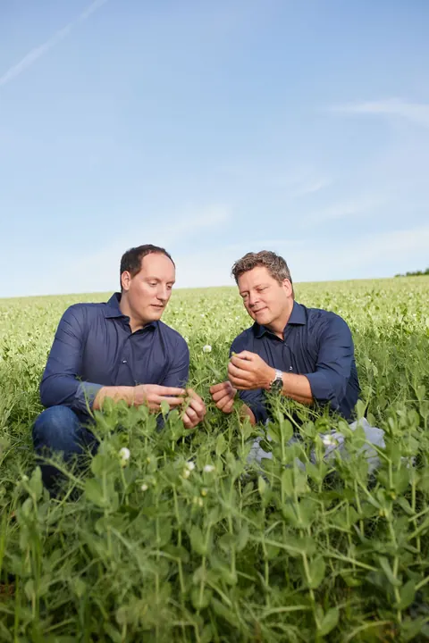 Zwei Männer begutachten Pflanzen auf einem Feld
