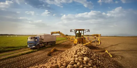 Erntemaschine und Lastwagen auf einem Feld